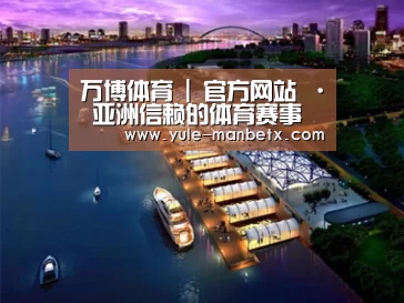 案例展示八