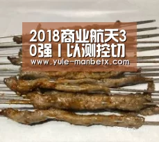 2018商业航天30强丨以测控切入，宇航智科如何让卫星运用更亲民？“ 万博体育入