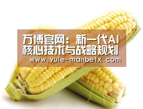 万博官网:新一代AI核心技术与战略规划齐头并进,听加拿大皇家院士怎么说?(图4) 万博体育登录